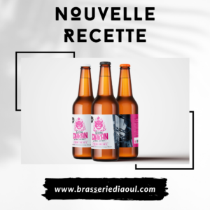 Brasserie diaoul bière éphèmère tempête Ciaran, brasserie plijadur